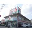 販売店