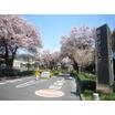 大学