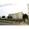 中学校