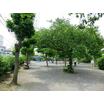 公園