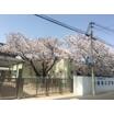 幼稚園、保育園