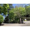 公園