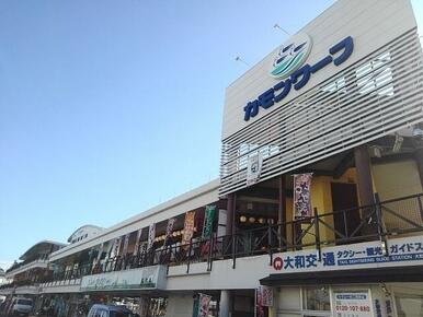 カモンワーフ