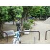 公園