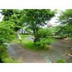 公園