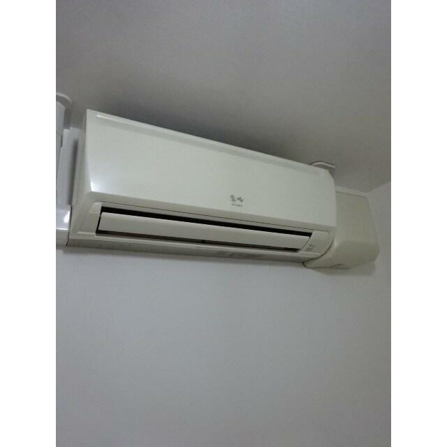 反転タイプの写真です