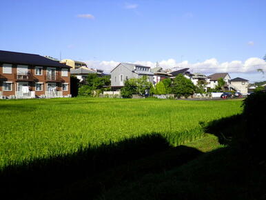 緑豊かな住環境です。