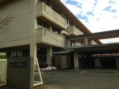 菱形小学校