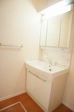 全面鏡付キャビネットの化粧台です。シャワー付ですので洗髪も出来ます。