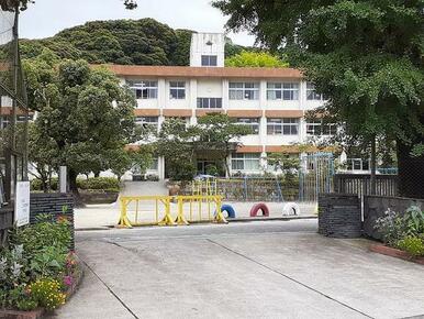 志布志小学校