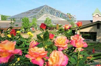 とちぎ花センター
