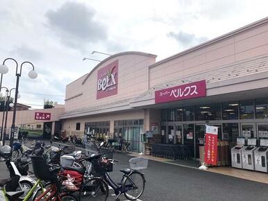 ベルクス市川堀之内店