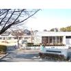 幼稚園、保育園