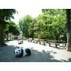公園