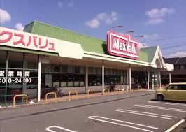 マックスバリュ青山店