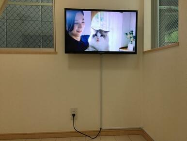 壁掛けテレビ。写真は別部屋のものです。