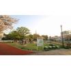 公園
