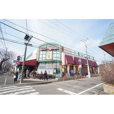 ビッグヨーサン十日市場店