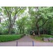 公園