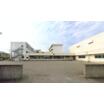 中学校