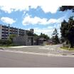 大学