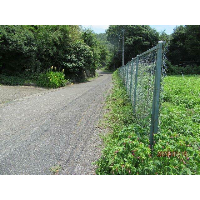 北東側道路（2023年7月撮影）