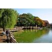 公園
