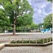 公園