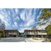 大学