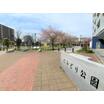 公園