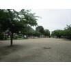 公園