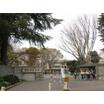 大学