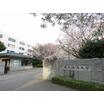 大学