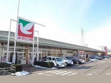 ヨークベニマル横塚店