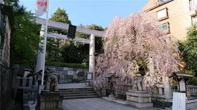 乃木神社