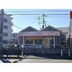 幼稚園、保育園