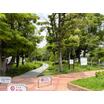 公園