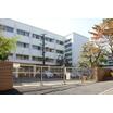 中学校