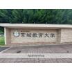 大学
