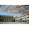 中学校