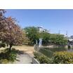 公園