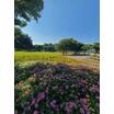 公園