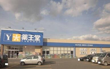 薬王堂花巻不動店