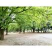 公園