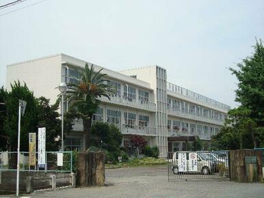 市立田子浦小学校まで450ｍ