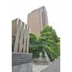 大学