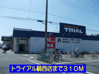 トライアル騎西店