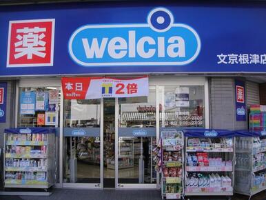 ドラッグストア　Ｗｅｌｃｉａ