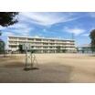 小学校