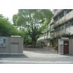 中学校